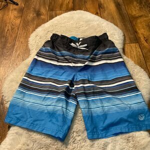 Zero Xposure Swim Trunks Youth Boys Large Kids Shorts Blue Patter Stripe
